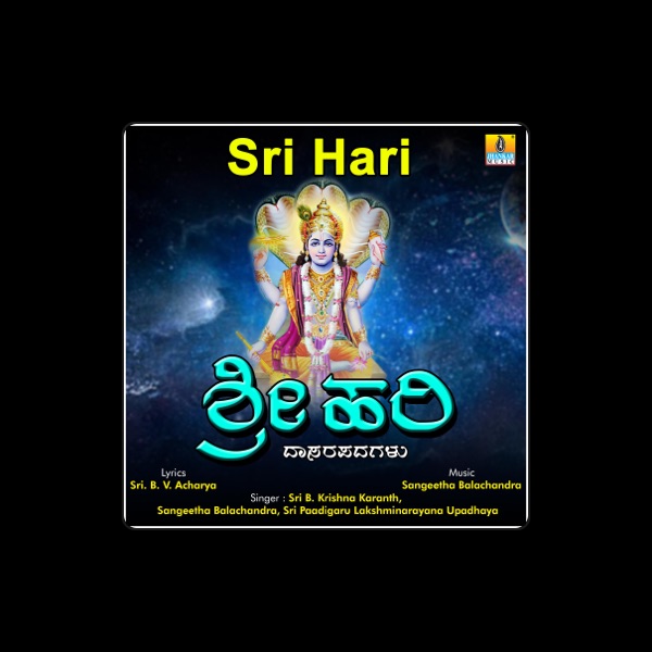 Sri B. Krishna Karanth's avatar