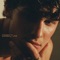 Summer Of Love - Shawn Mendes & Tainy lyrics