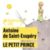 Antoine de Saint-Exupéry