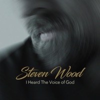 I Heard the Voice of God - Single - Steven Wood