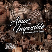 Amor Imposible artwork