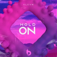 Hold On - Single - Alevn