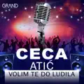 Volim te do ludila