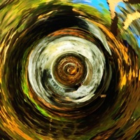 White Birch - Single - Kevin J