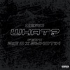 What? (feat. Sykotik & BIG D) - Single