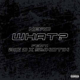 What? (feat. BIG D & Sykotik) Nero