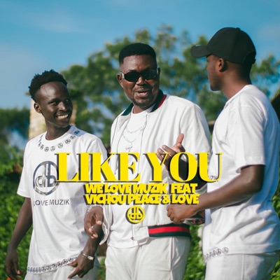 Like You - Single