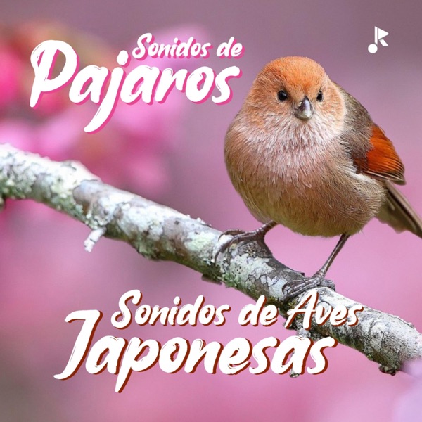 Sonido de Aves Japonesas
