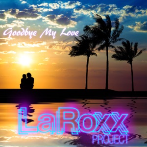 LaRoxx Project - Goodbye My Love - 排舞 音乐