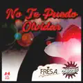 No Te Puedo Olvidar