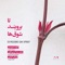 Jubilant - Azadeh Ahmadi, Hamed Zand Karimkhani & Pouyan Gearmi lyrics