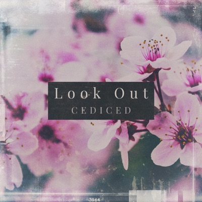 Look Out - Single