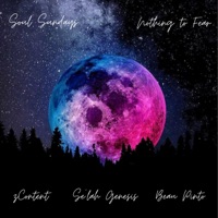 Nothing to Fear (Soul Sundays) (feat. Se'lah Genesis & Beau Pinto) - Single - zContent