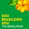 Sou Brasileiro Sou - Timbalada lyrics