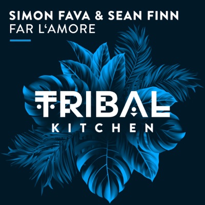 Far L'Amore (Radio Edit) - Simon Fava & Sean Finn | Shazam