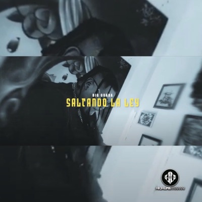 Saltando La Ley - Single