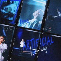 Artificial - Single - Liam