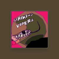 STRIKING VIPERS