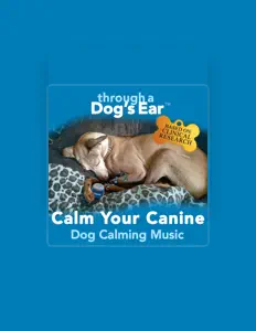 聆聽 Through a Dog's Ear、觀看音樂影片、閱讀小傳、查看巡演日期等！