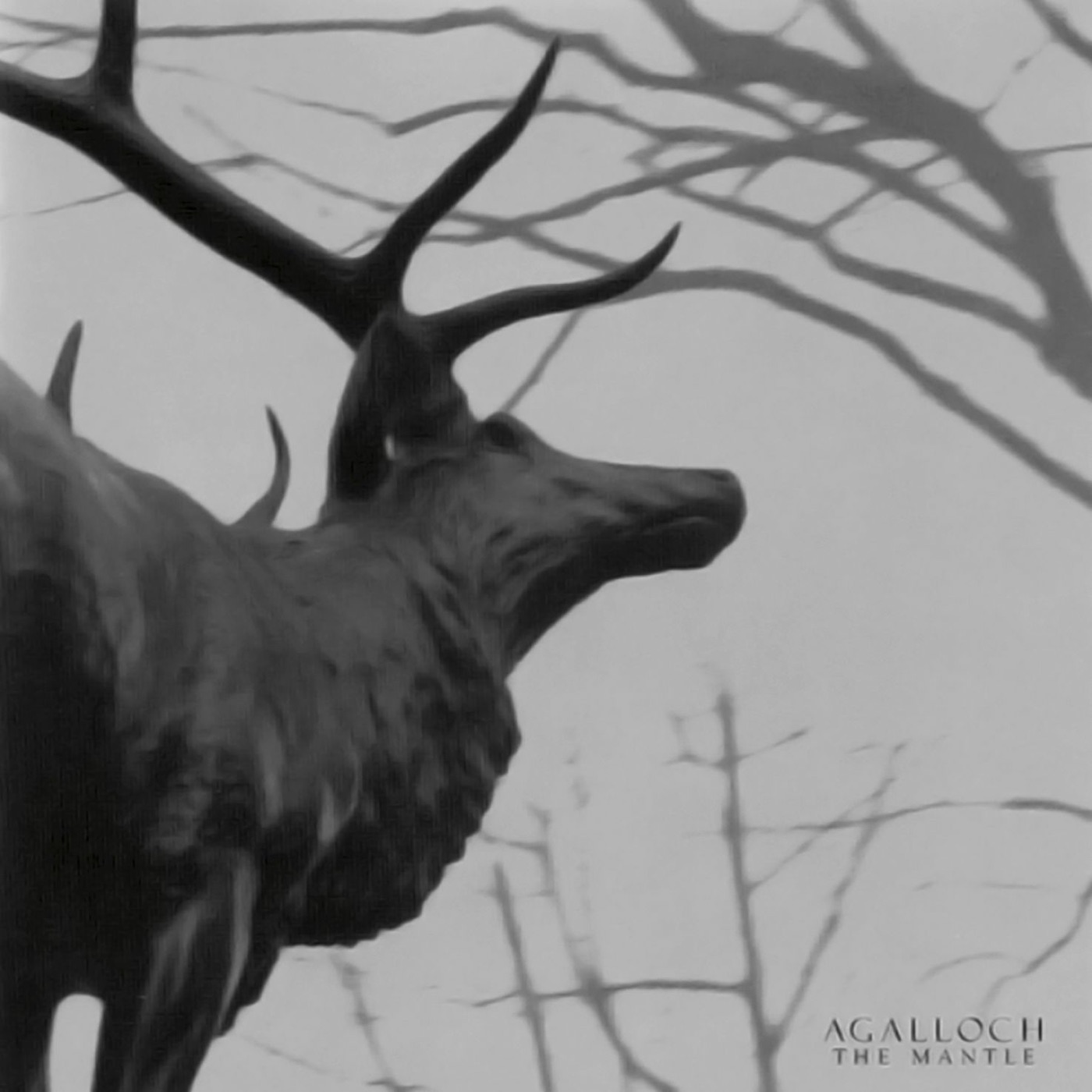 The Mantle by Agalloch