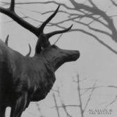 Agalloch - In the Shadow of Our Pale Companion