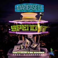 Spend It (feat. Mr Benjamin & E-Silent) - Single - Maribased1