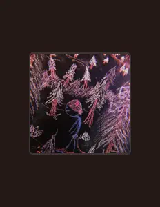 Escucha a facade, mira videos musicales, lee su biografía, consulta las fechas de las gira y más.