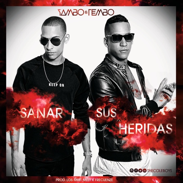 Sanar Sus Heridas