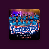 Orquesta Tempestad