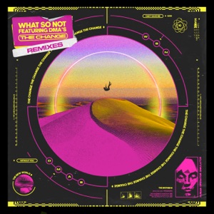 The Change (feat. DMA'S) [Biicla Remix]