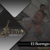 El Borrego (En Vivo) - Single