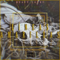 Líneas Amarillas - Single - Jony Vibez