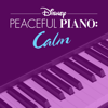 Can You Feel the Love Tonight - Disney Peaceful Piano