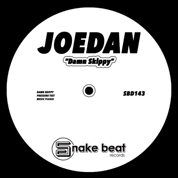 Damn Skippy - Single