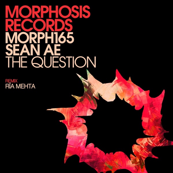 The Question - Single