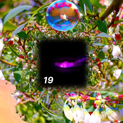19 - Single