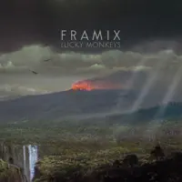 Half a Coyote — Framix