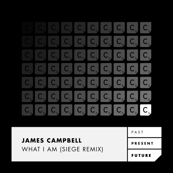 What I Am (Siege Remix) - Single