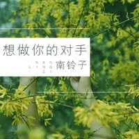 想做你的对手 - Single - 南铃子