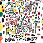 Bridge of Flowers - Vinegar and Salt