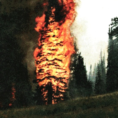 Folklore - Single