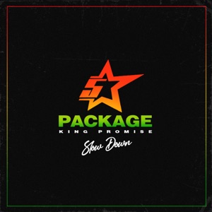 Slow Down (feat. The Compozers) [Acoustic Session]