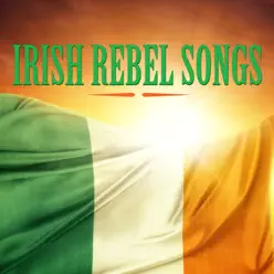 Irish Rebel Songs - Clancy Brothers