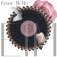 Amor Ni Na - Single - Luizor EIM