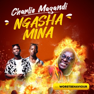 Ngasha Mina (feat. Worst Behaviour)
