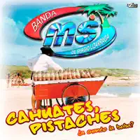 La Suata — Banda MS de Sergio Lizárraga