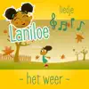 Het weer