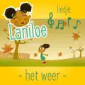 Het weer