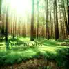 Sounds of Nature White Noise for Mindfulness Meditation and Relaxation - Mindfulness (Ocean Waves Nature Sounds for Meditation)