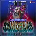 16 Toneladas